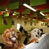 24_4_additional image.jpg image